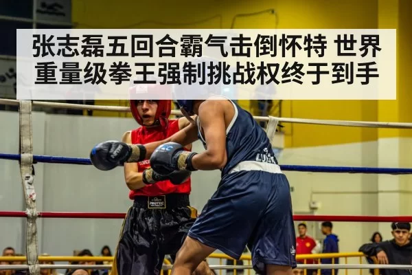 张志磊五回合霸气击倒怀特 世界重量级拳王强制挑战权终于到手